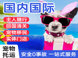 义勒力特航空货运国际宠物托运 【国